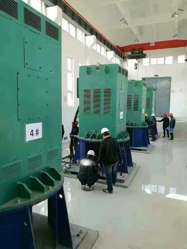 永昌某污水处理厂使用我厂的立式高压电机安装现场